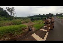Homem é encontrado morto na PR-444