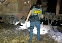 Homem morre atropelado por trem em Mandaguari