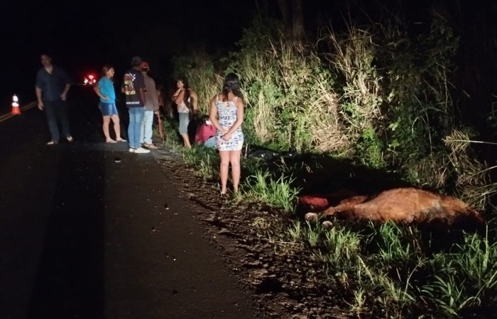 Peão de 50 anos morre esmagado por cavalo no Pantanal - JD1 Notícias