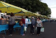 Fiação elétrica da Feira do Produtor é furtada em Jandaia do Sul