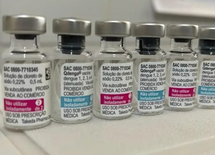 vacina dengue