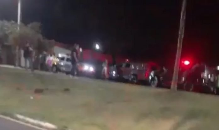 arapongas