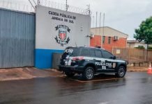 Mulher é presa pelo crime de furto em Marumbi