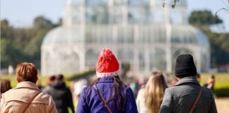 Frio volta na sexta-feira segundo o Simepar
