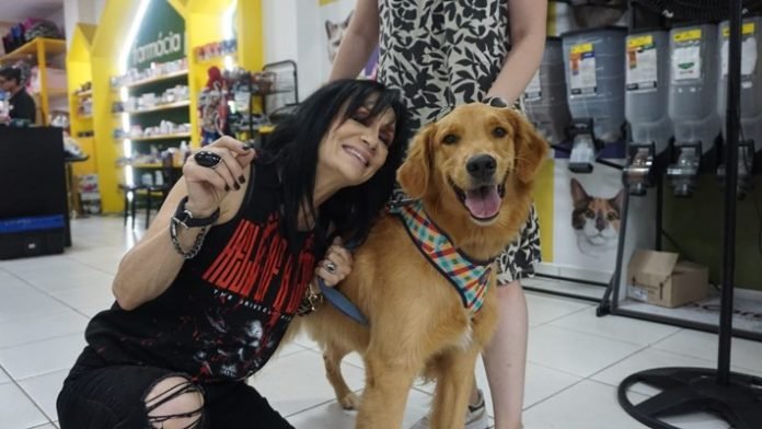 cantora 4