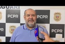 Vídeo: delegado fala sobre o caso do cachorro que foi arrastado por idoso
