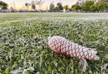 Sinais de inverno: maio terá frentes frias, geada e temperaturas abaixo de 10°C