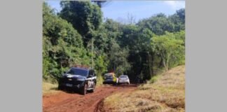 Corpo parcialmente carbonizado é encontrado em área de mata no muncípio de Apucarana