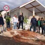 Prefeitura de Jandaia do Sul inicia nova etapa de plantio de árvores