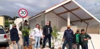 Prefeitura de Jandaia do Sul inicia nova etapa de plantio de árvores