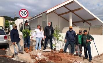 Prefeitura de Jandaia do Sul inicia nova etapa de plantio de árvores