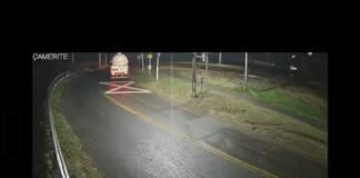 Vídeo mostra momento da colisão entre trem e caminhão em Jandaia do Sul