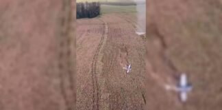 Avião agrícola cai em área rural de Marialva