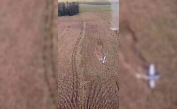 Avião agrícola cai em área rural de Marialva