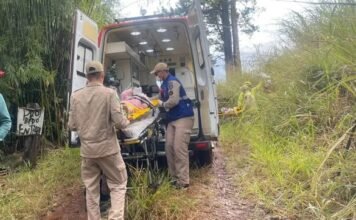 Enxame de abelhas dificulta socorro após capotamento em Apucarana