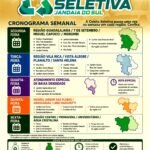 Atenção Jandaia do Sul: Confira as regras para a coleta de lixo e entulhos