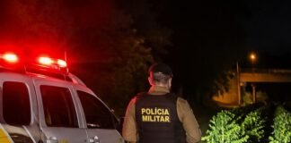 Três motocicletas são apreendidas em cafezal após denúncia de movimentação suspeita na zona rural de Jandaia do Sul