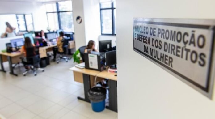 DPE-PR lança central de atendimento para mulheres vítimas de violência política