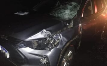 Idoso morre atropelado na PR-444