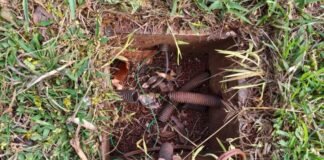 Prefeitura registra furto de fiação elétrica em diferentes pontos de Jandaia do Sul