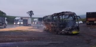 Ônibus bate na traseira de carreta e deixa 14 feridos na BR-376, em Ortigueira