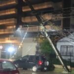 Temporal: Bombeiros de Mandaguari ainda trabalham na remoção de árvores caídas