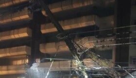 Temporal: Bombeiros de Mandaguari ainda trabalham na remoção de árvores caídas