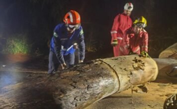 Brigada Comunitária atende motorista após caminhonete bater em árvore caída