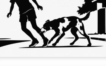 Menina de 12 anos é mordida por cachorro solto em rua de Bom Sucesso