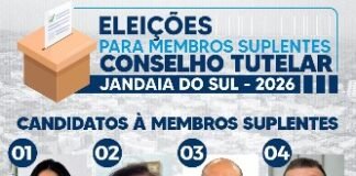 Eleição para membros suplentes do Conselho Tutelar de Jandaia do Sul
